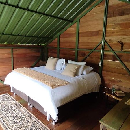 Ecohotel Pinohermoso Reserva Natural ซาเลนโต ภายนอก รูปภาพ