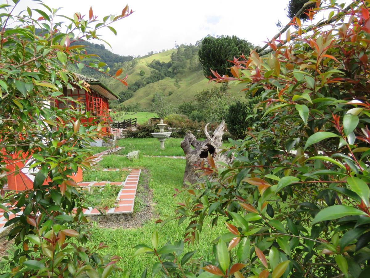 Ecohotel Pinohermoso Reserva Natural ซาเลนโต ภายนอก รูปภาพ
