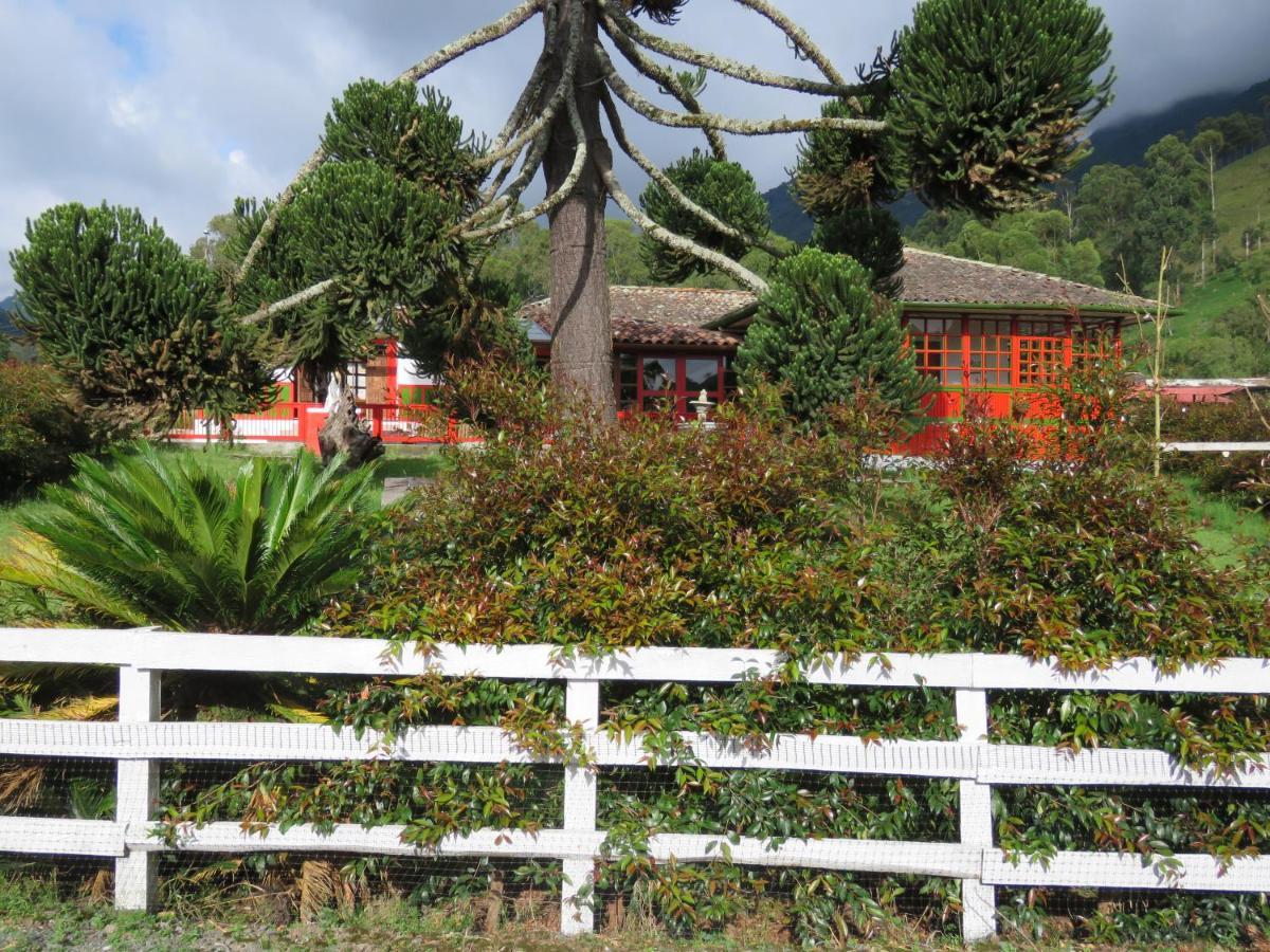 Ecohotel Pinohermoso Reserva Natural ซาเลนโต ภายนอก รูปภาพ