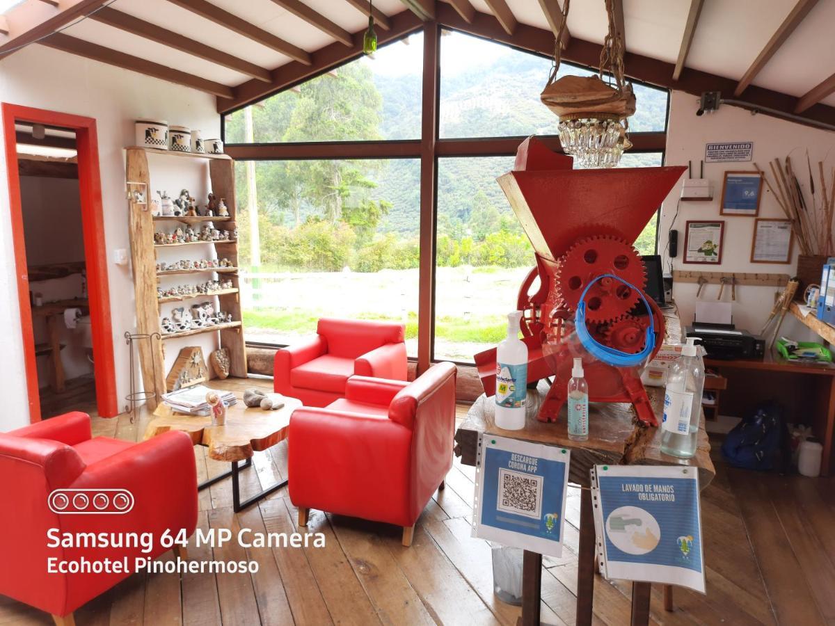Ecohotel Pinohermoso Reserva Natural ซาเลนโต ภายนอก รูปภาพ