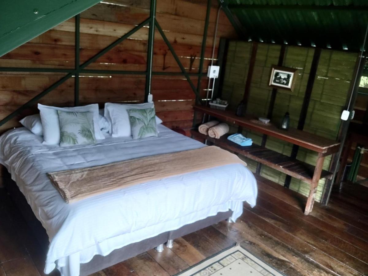 Ecohotel Pinohermoso Reserva Natural ซาเลนโต ภายนอก รูปภาพ