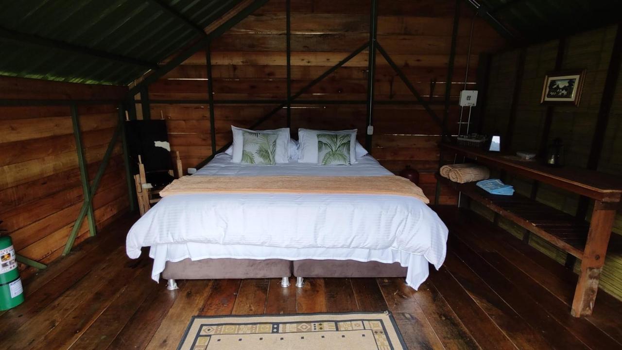 Ecohotel Pinohermoso Reserva Natural ซาเลนโต ภายนอก รูปภาพ