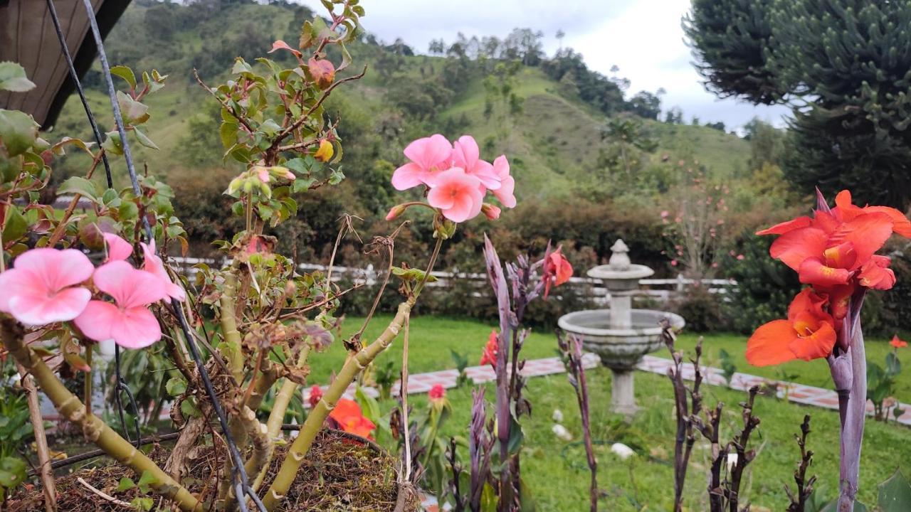 Ecohotel Pinohermoso Reserva Natural ซาเลนโต ภายนอก รูปภาพ