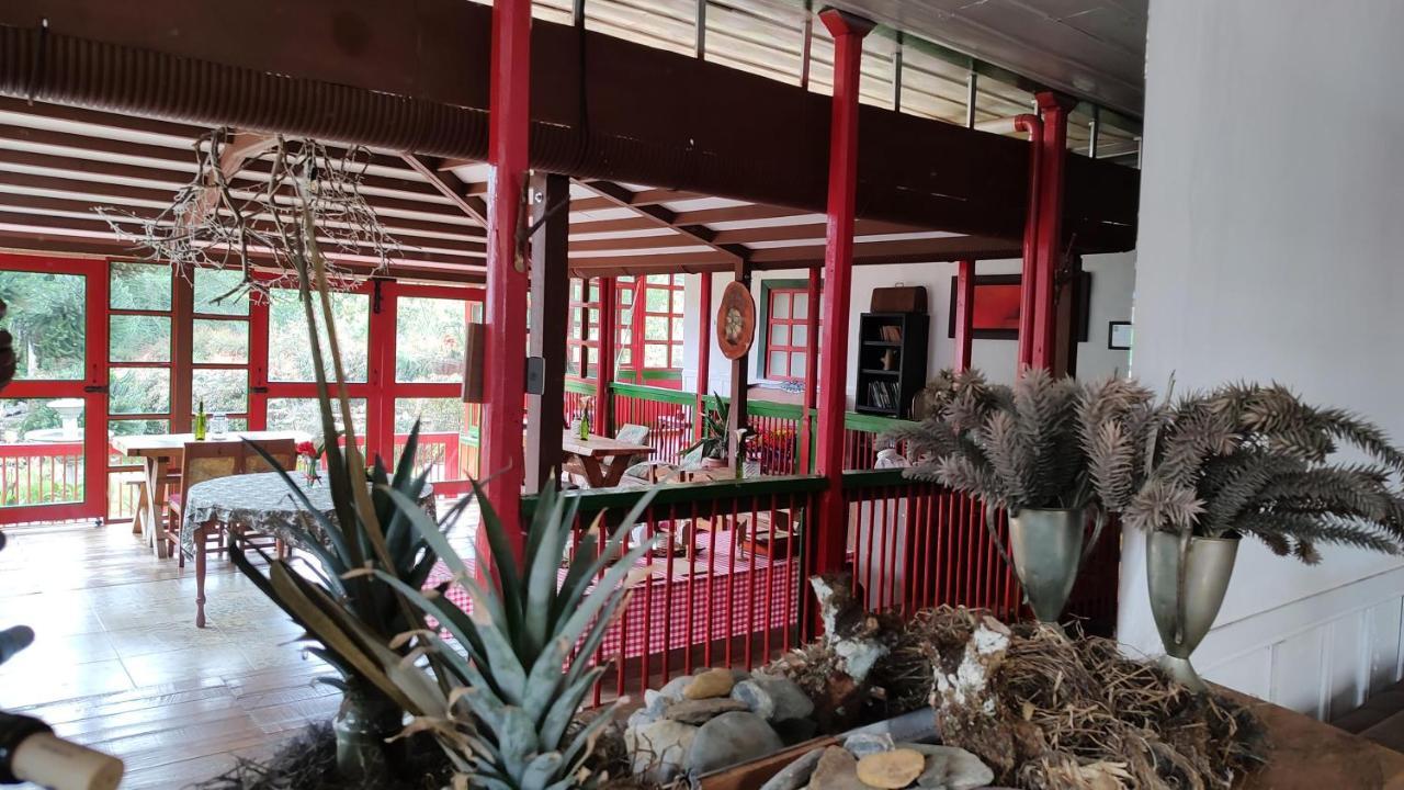 Ecohotel Pinohermoso Reserva Natural ซาเลนโต ภายนอก รูปภาพ