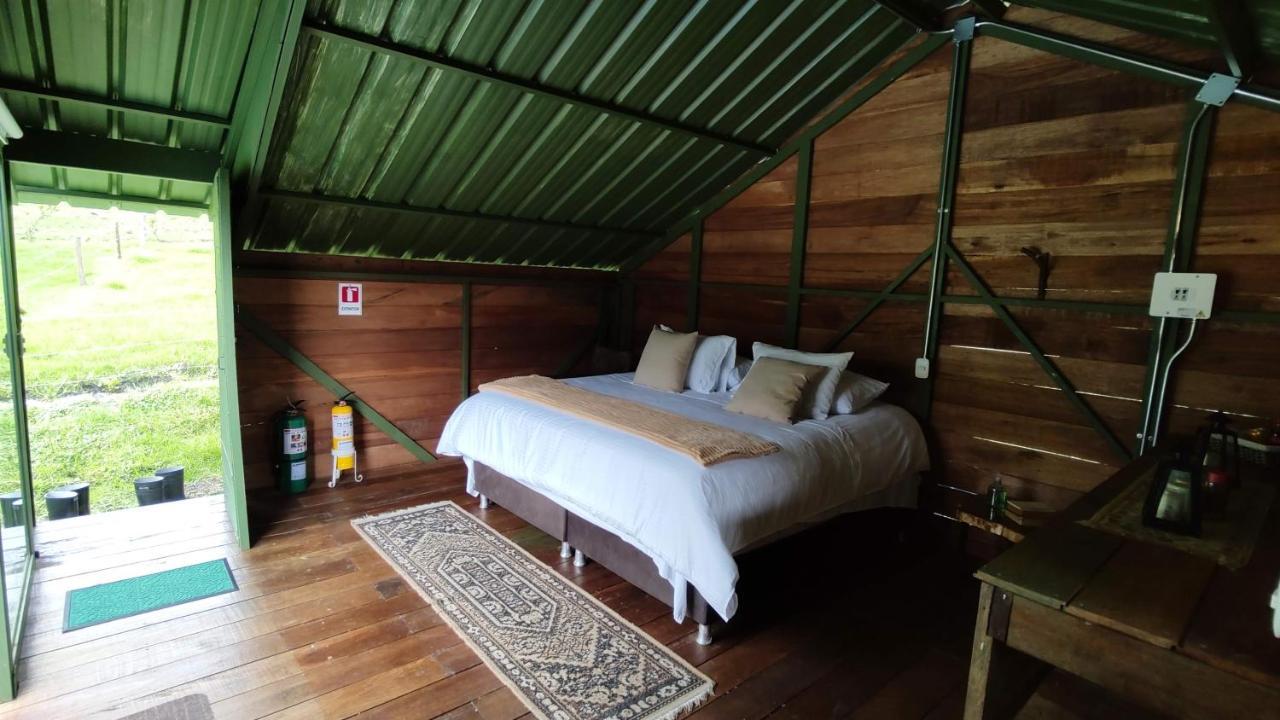 Ecohotel Pinohermoso Reserva Natural ซาเลนโต ภายนอก รูปภาพ