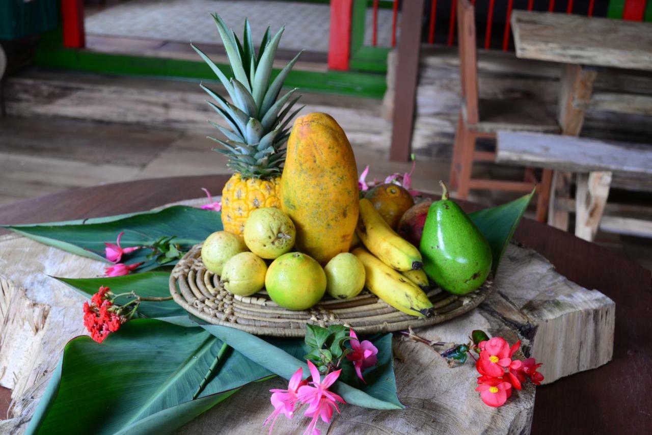 Ecohotel Pinohermoso Reserva Natural ซาเลนโต ภายนอก รูปภาพ