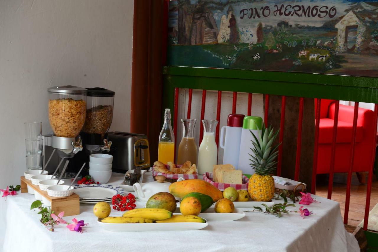 Ecohotel Pinohermoso Reserva Natural ซาเลนโต ภายนอก รูปภาพ