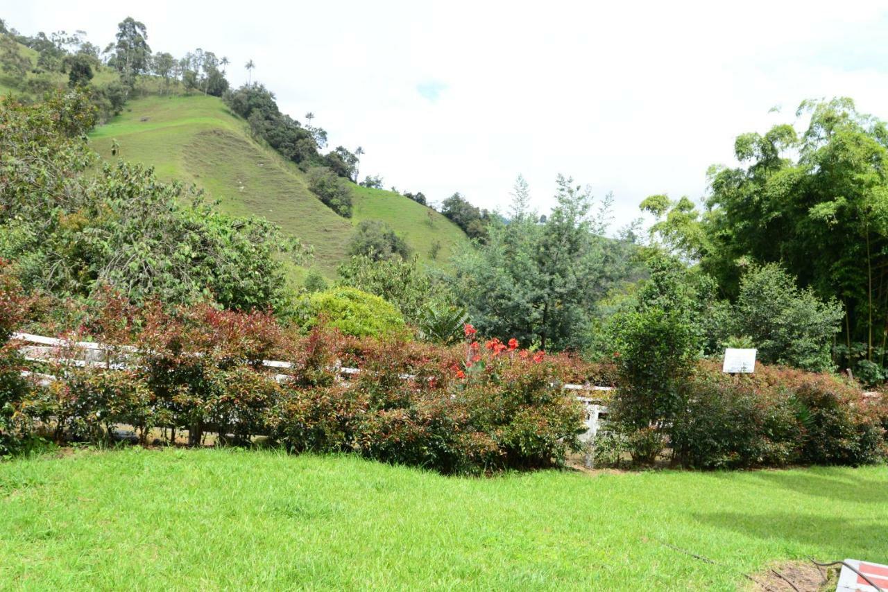 Ecohotel Pinohermoso Reserva Natural ซาเลนโต ภายนอก รูปภาพ