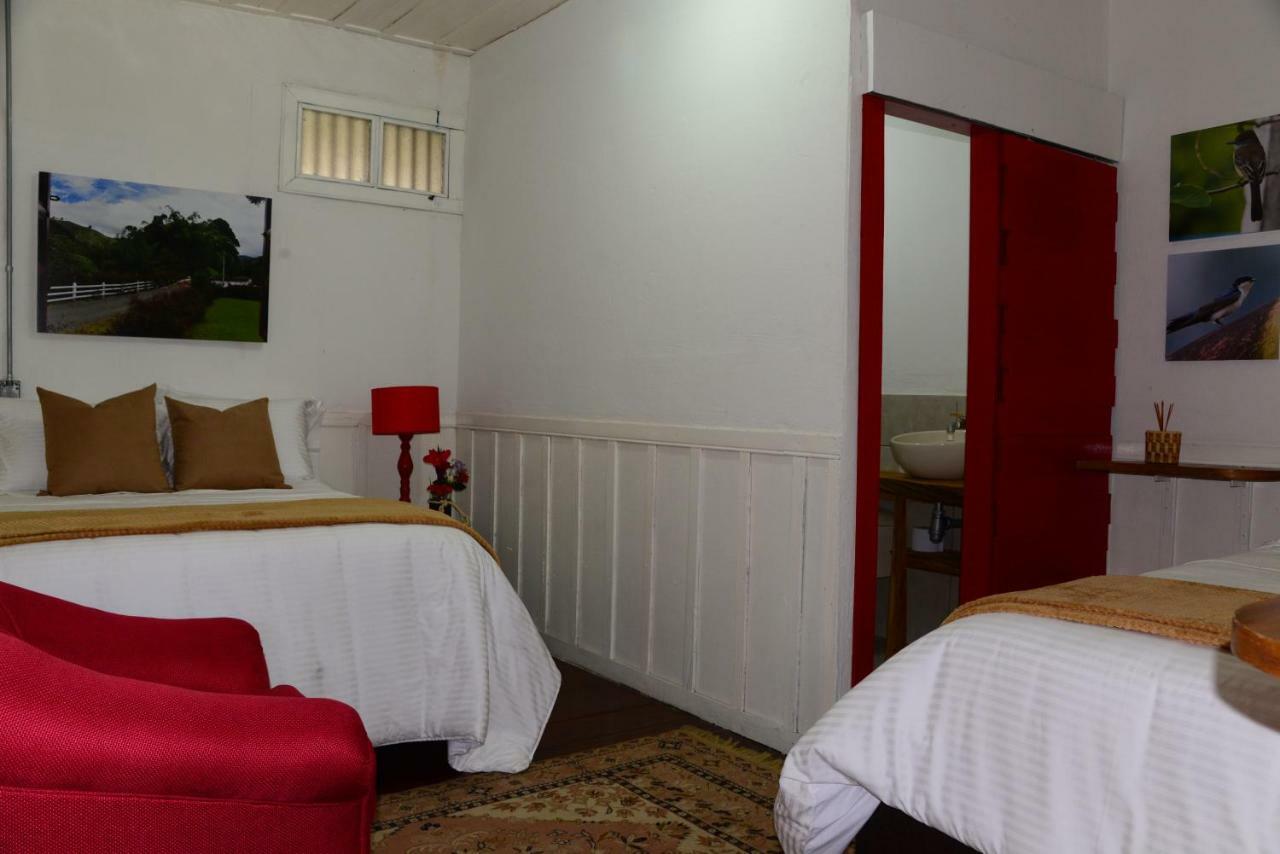 Ecohotel Pinohermoso Reserva Natural ซาเลนโต ภายนอก รูปภาพ